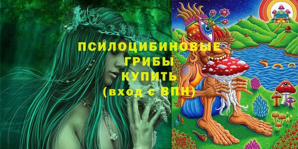 ALPHA PVP Пролетарск
