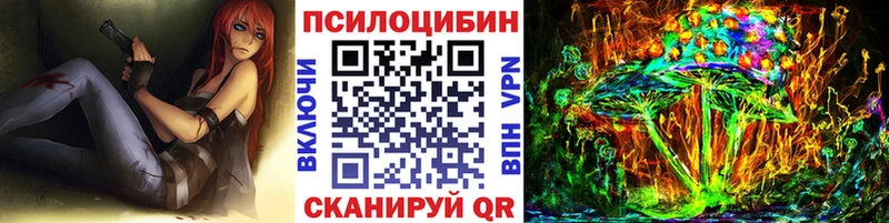 Купить  Кинель  Галлюциногенные грибы Magic Shrooms 