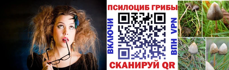Галлюциногенные грибы Cubensis Кинель