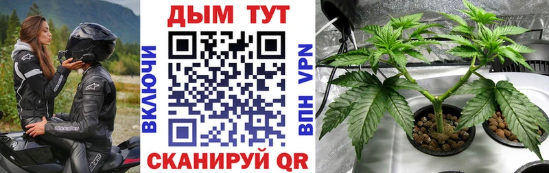 Купить  Кинель  Канабис план 